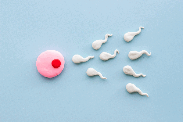 A colorful pink and red sperm-shaped candy with white sperm-shaped candies on a light blue background, symbolising fertility and tradition in reproductive health.