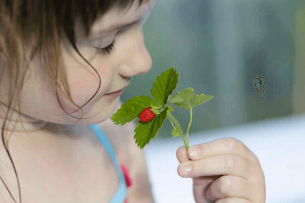 Children’s Health Naturopathy Brisbane
