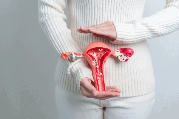 Endometriosis Naturopath Brisbane